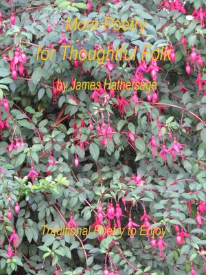 cover image of More Poetry for Thoughtful Folk
